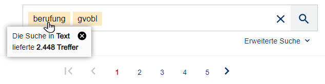 Interpretation von Suchkriterien in der Suchzeile