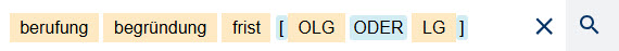 Eingabe des logischen Operators ODER in die Suchzeile